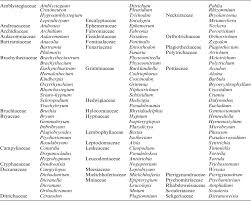 Attēlu rezultāti vaicājumam “Schistidium dupretii sporophyte”