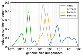 Image result for genome sizes