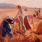 A Bountiful Harvest - Rehs Galleries, Inc.
