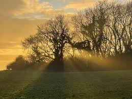 Image result for Polegate Rambling Club