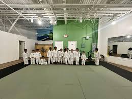 Image result for Kensei Karate Dojo