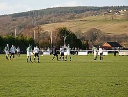 Image result for Lovat Shinty Club