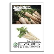 Image result for Pastinaca sativa