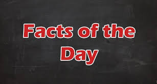 Image result for The Dodgeball Company