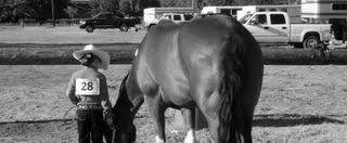 Image result for Lakes Riding Club