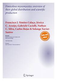 Attēlu rezultāti vaicājumam “Didymium xanthopus macro”