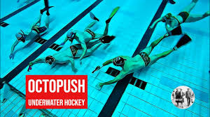 Image result for Orkney Octopush Club