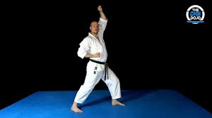 Image result for Jodan Karate