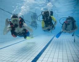 Image result for Darwen Snorkelling Club