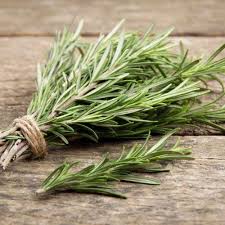 Image result for Rosmarin