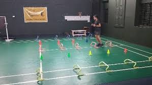 Image result for Onyx Badminton Club