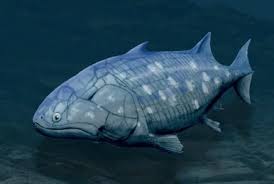 Attēlu rezultāti vaicājumam “Endoceras”