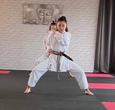 Image result for Addlestone Shotokan Karate Club