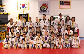 Image result for Kidderminster Tae Kwon Do Tigers