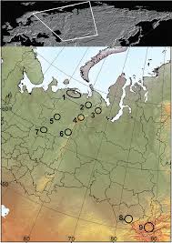 Attēlu rezultāti vaicājumam “Calliergon megalophyllum”