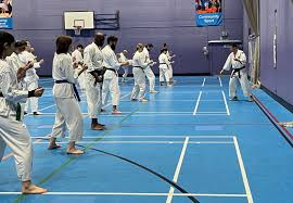 Image result for University of Bristol Shorinji Kempo Club