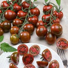 Afbeeldingsresultaat voor black cherry tomato