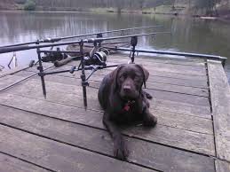 Image result for Diggle Angling Club