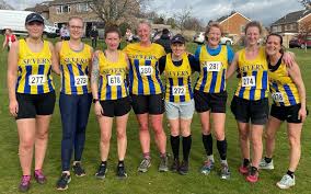 Image result for Severn Ac