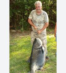 Image result for Hypophthalmichthys nobilis