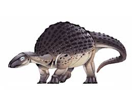 Image result for MINMI