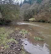 Image result for Bideford and District Angling Club