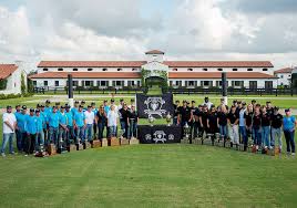 Image result for St Rita`s Camogie Club