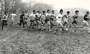 Image result for Vale Of Aylesbury Athletics Club