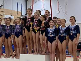 Image result for Torbay Olympic Gymnastics Club