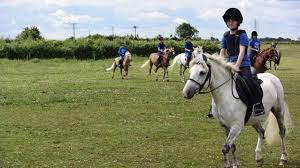 Image result for Thames Valley Riding Club