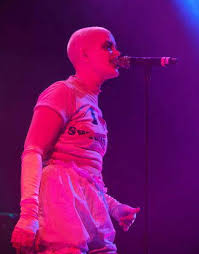 Image result for Karin Dreijer Andersson