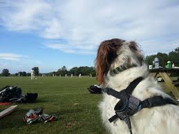 Image result for Southwick Wanderers