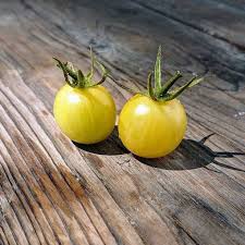 Afbeeldingsresultaat voor hawaiian white cherry tomato