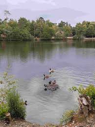 Image result for Runnymede Ramblers