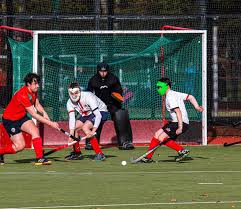 Image result for Annadale Hockey Club