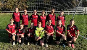 Image result for Crawley Down Netball Club