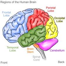 [Image: images?q=tbn:ANd9GcRGLTiqygbe4QTkHnDgqgn...OOj62vdZU=]