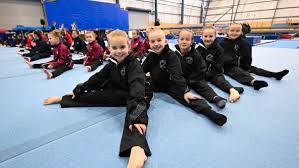 Image result for Zodiac Gymnastics Club