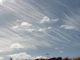 Attēlu rezultāti vaicājumam “Cirrus fibratus”