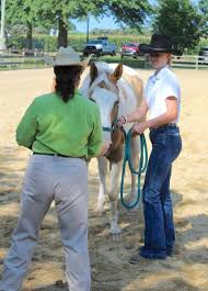 Image result for Patchett`s Green Riding Club