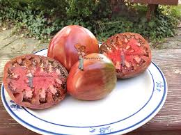 Afbeeldingsresultaat voor black oxheart tomato