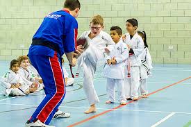 Image result for Wokingham Shotokai