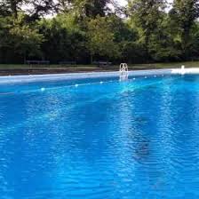 Image result for Biggleswade Swimming Club
