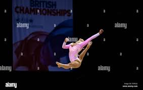 Image result for Hinckley Gymnastics Club
