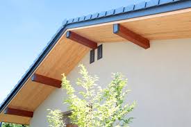 「犬塚雲軒」の画像検索結果