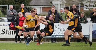 Image result for Esher Rugby Football Club