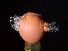 13 High Speed Photography Images