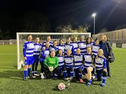 Image result for Epsom & Ewell Football Club