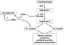 GUIDELINE 11: USE OF ANGIOTENSIN-CONVERTING ENZYME INHIBITORS AND ...