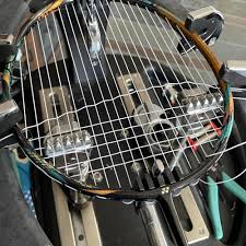 Image result for Plains Badminton Club